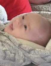 asher carpenter