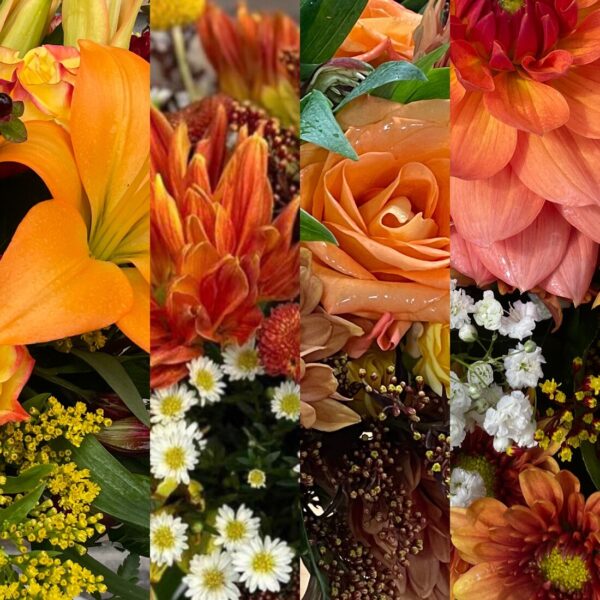Orange Designer's Choice